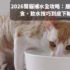 2026腎貓補水全攻略：居家照護從濕食、飲水技巧到皮下輸液教學