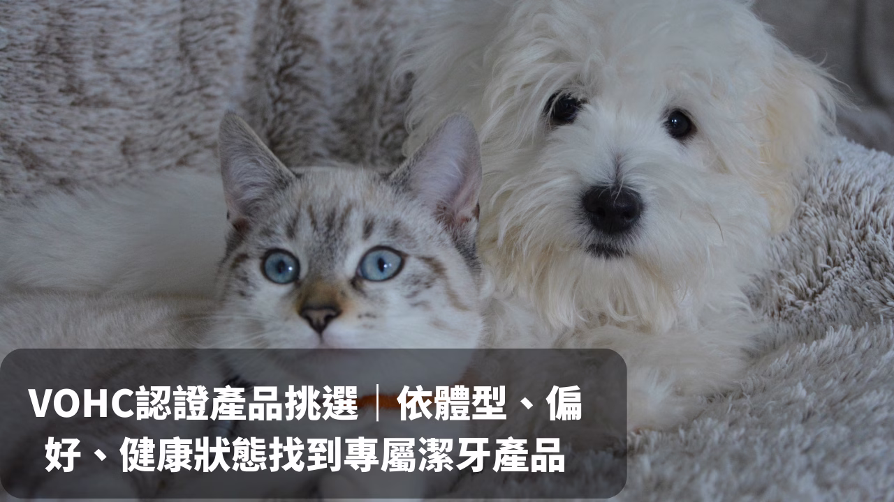 VOHC認證產品挑選｜依體型、偏好、健康狀態與4種型態找到專屬潔牙產品
