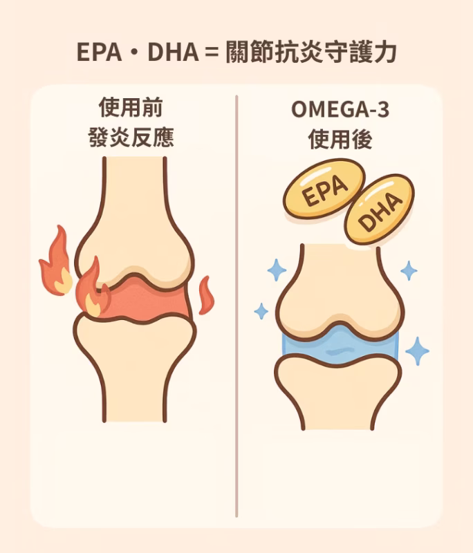 魚油=抗炎守護力的關鍵