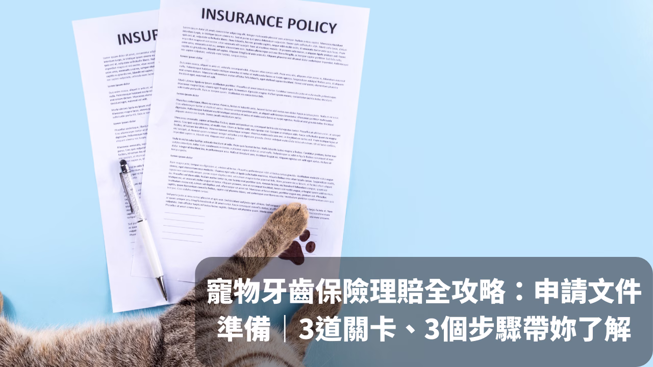 寵物牙齒保險理賠全攻略：哪些能賠？申請文件怎麼準備？ - 封面圖