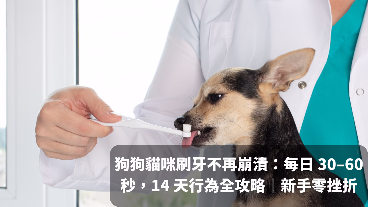 狗狗貓咪刷牙不再崩潰：每日 30-60 秒，14 天行為全攻略 - 封面圖