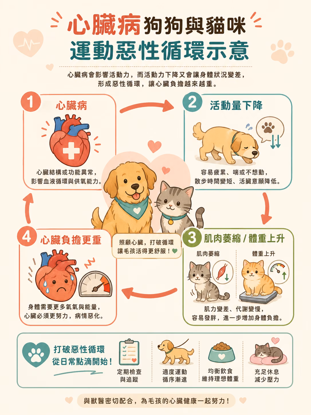 心臟病運動下降惡性循環圖