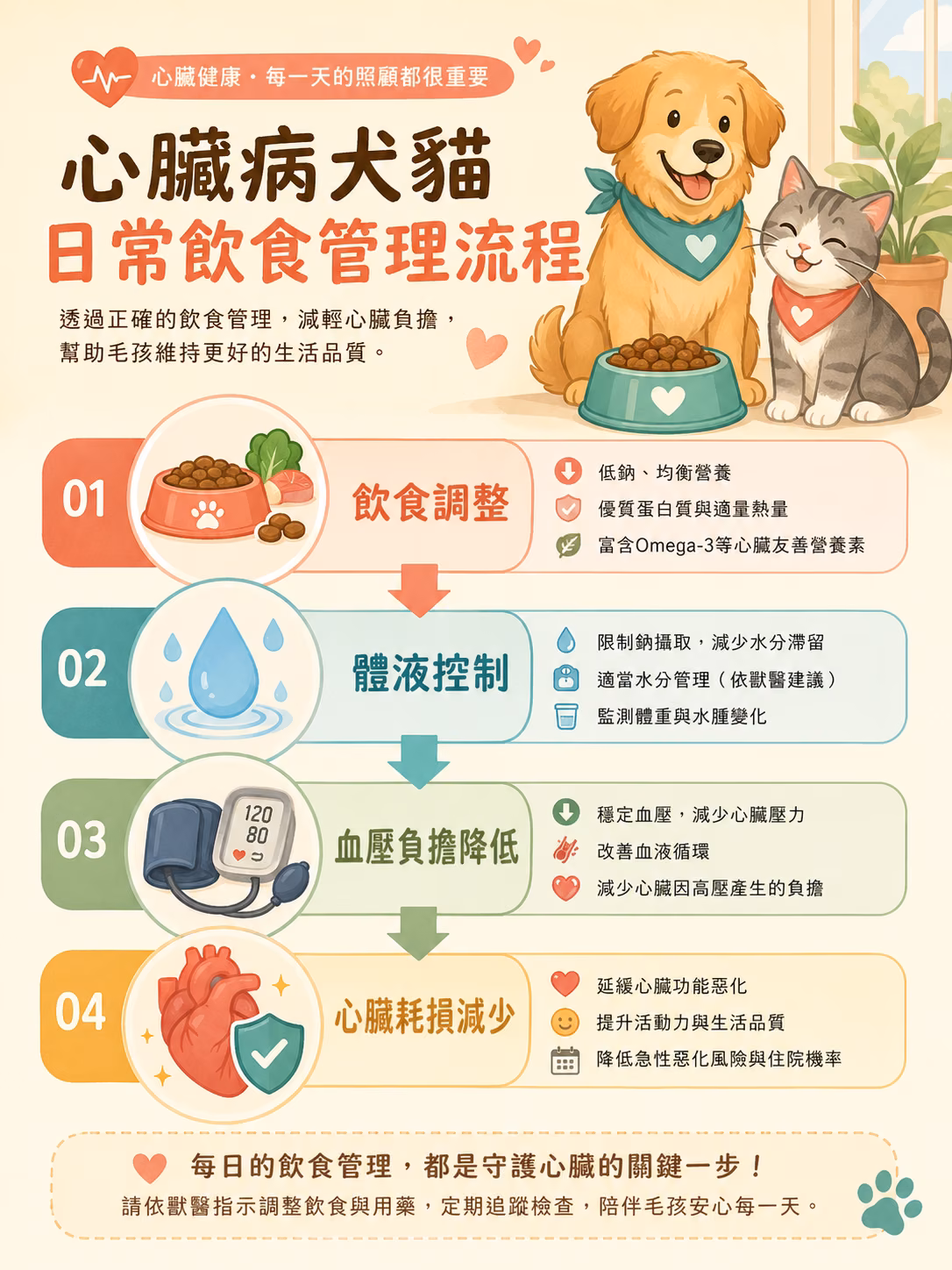 心臟病犬貓日常飲食管理流程