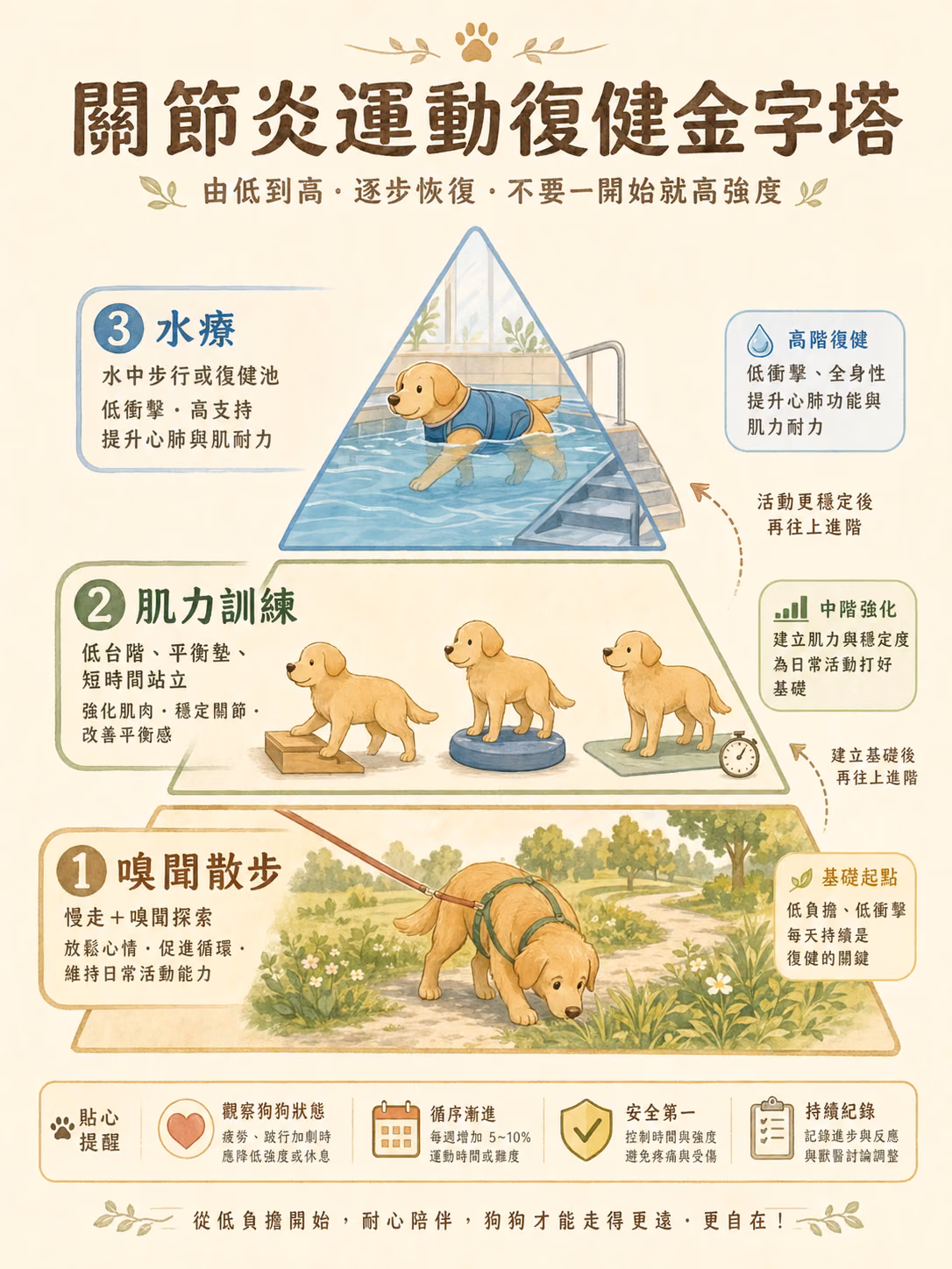 關節炎運動復健金字塔