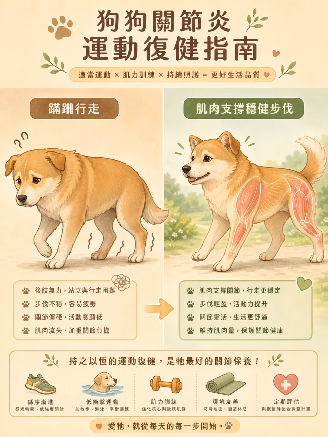 蹣跚行走 vs 穩健步伐對比圖
