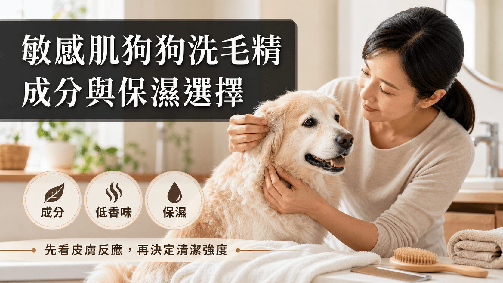 敏感肌狗狗洗毛精怎麼選？成分、香精、皂基與保濕重點封面圖，呈現熟齡犬貓日常清潔照護情境。