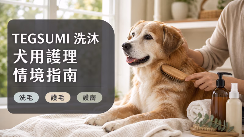 PawCare 風格封面圖，狗狗在家梳理被毛，標題為 TEGSUMI 洗沐犬用護理情境指南