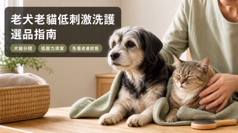 老犬老貓低刺激洗護選品指南，熟齡犬貓在家進行溫和清潔與梳毛準備